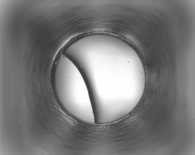 X0000066081023200603131132