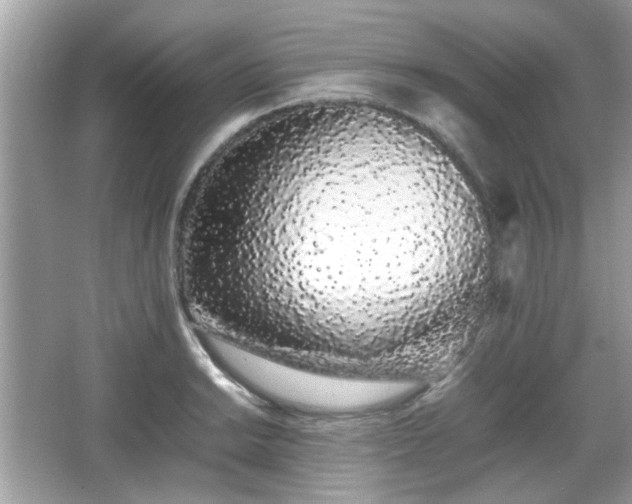 X0000066081038200603131132