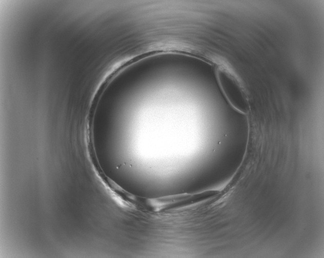 X0000066081040200603131132