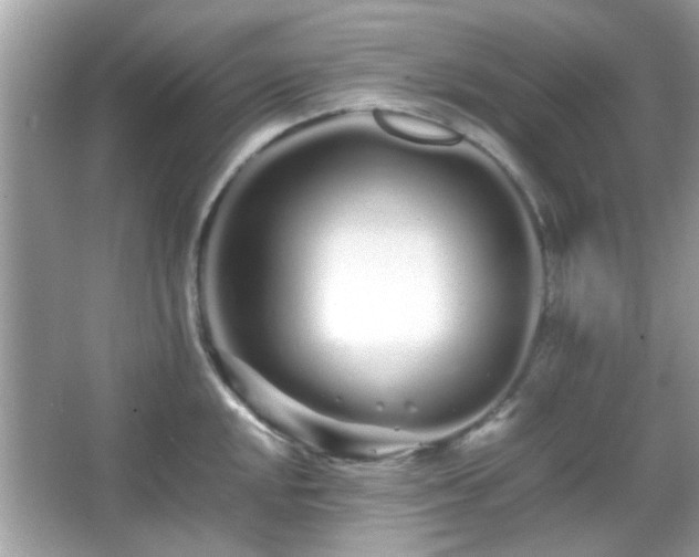 X0000066081048200603131133