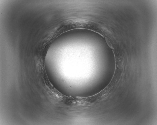 X0000066081061200603131132
