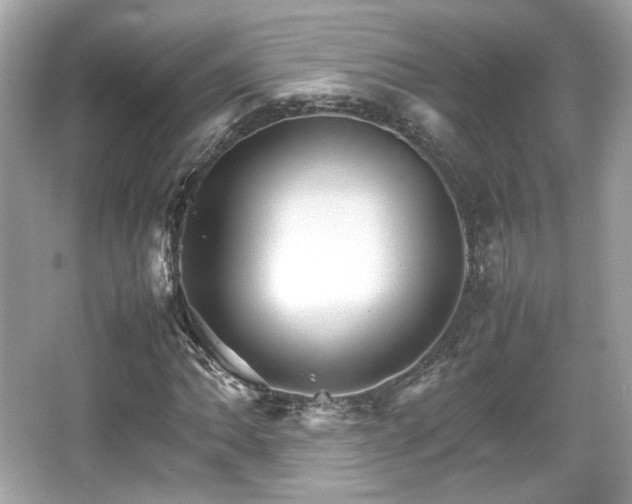 X0000066081062200603131132