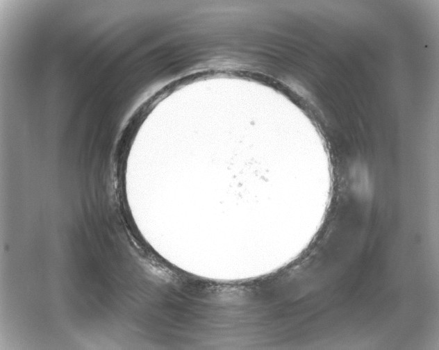 X0000066081070200603131132