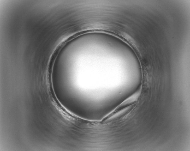 X0000066081072200603131132