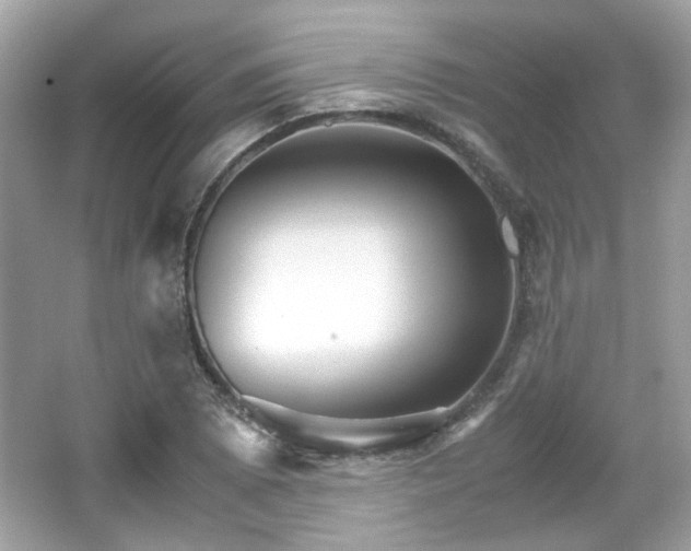 X0000066081073200603131132