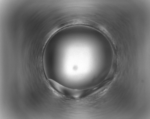 X0000066081089200603131131