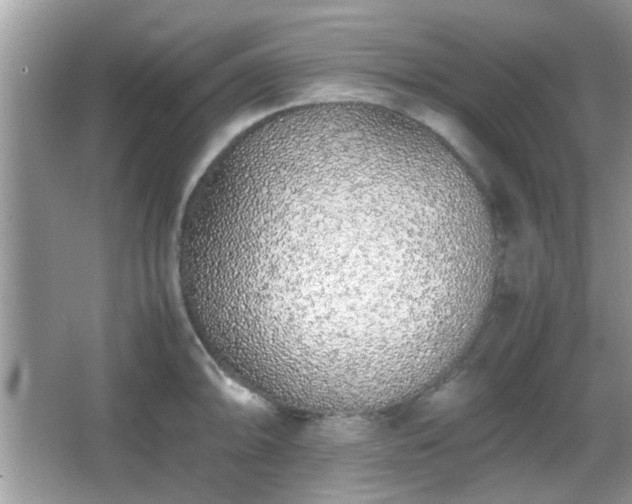 X0000066081094200603131131