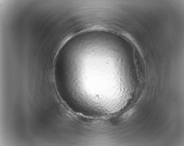 X0000066081097200603131131