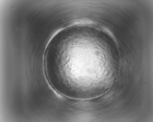 X0000066081103200603131131