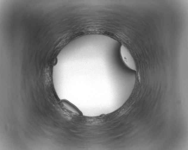 X0000066081107200603131130