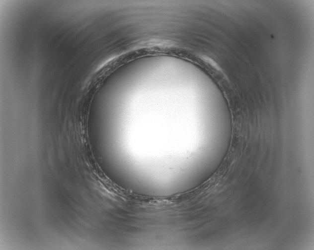 X0000066081112200603131130