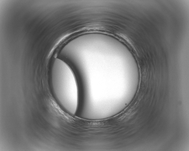 X0000066081115200603131131