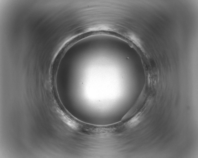 X0000066081116200603131131