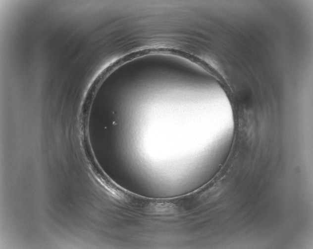 X0000066081119200603131131