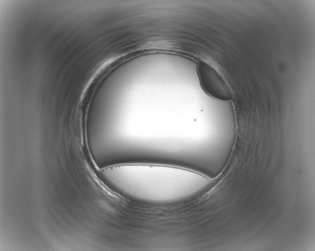 X0000066081123200603131131