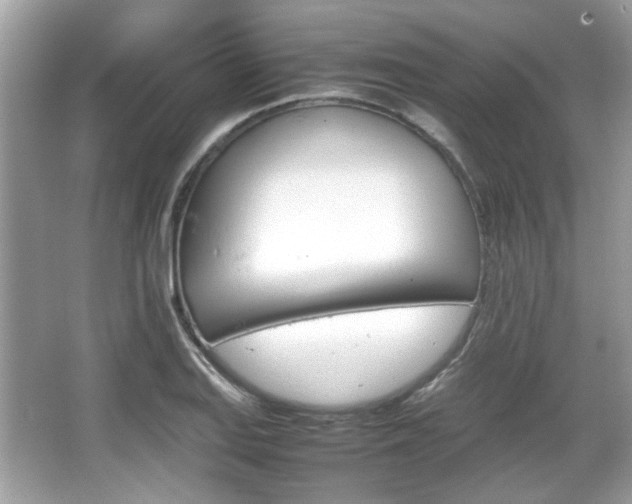 X0000066081127200603131131
