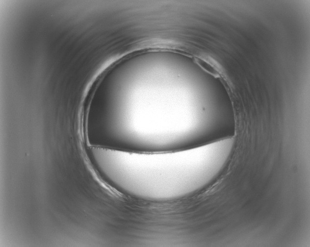 X0000066081128200603131131