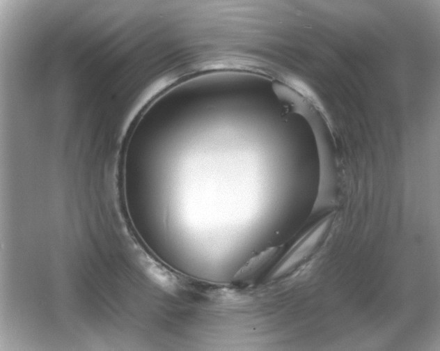 X0000066081138200603131131