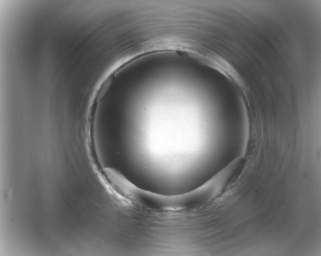 X0000066081144200603131131
