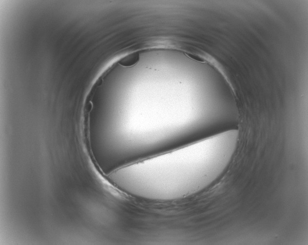 X0000066081147200603131131