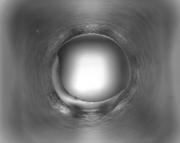 X0000066081153200603131130
