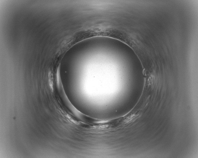 X0000066081156200603131130