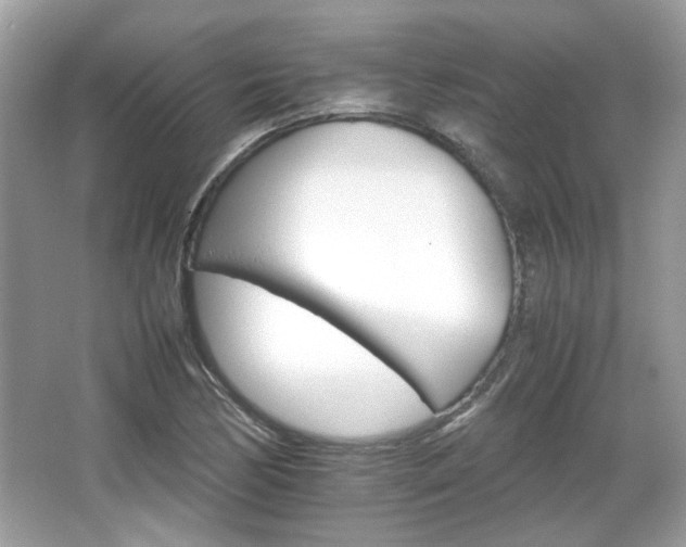 X0000066081170200603131130