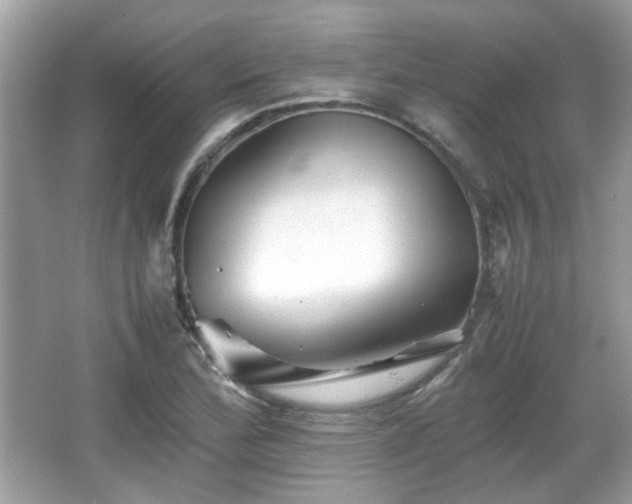 X0000066081172200603131130