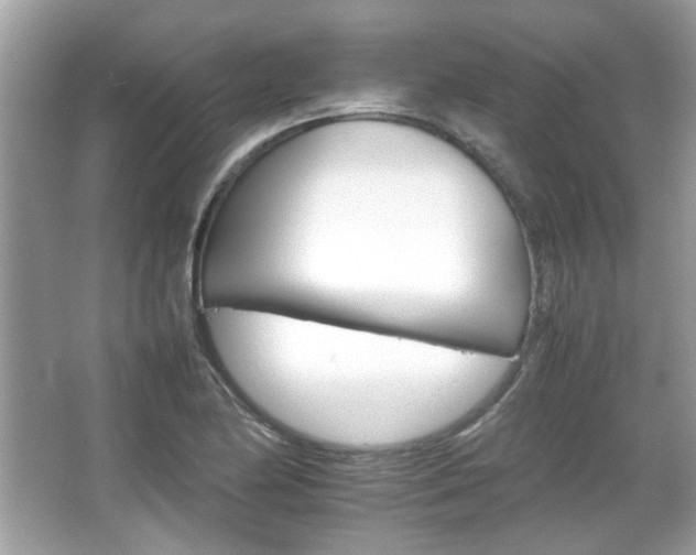 X0000066081174200603131130