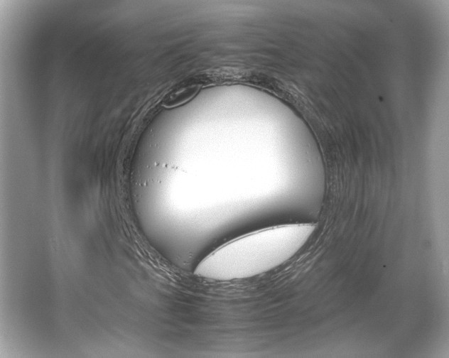 X0000066081201200603131129