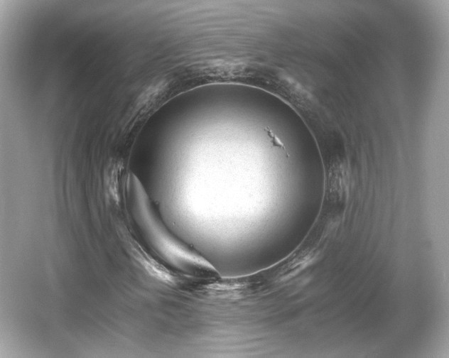 X0000066081202200603131129