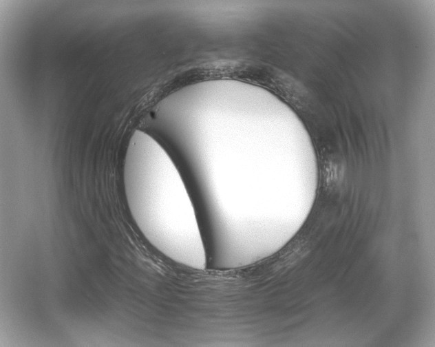 X0000066081204200603131129