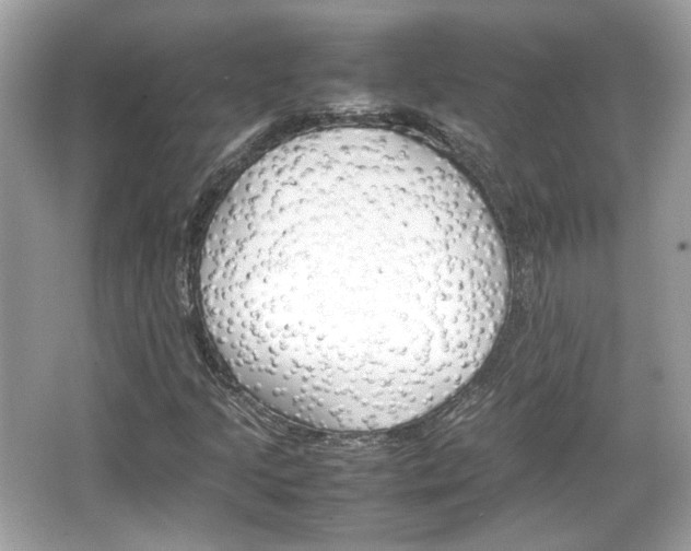 X0000066081205200603131129