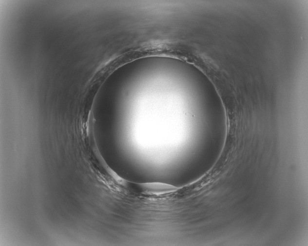 X0000066081206200603131129