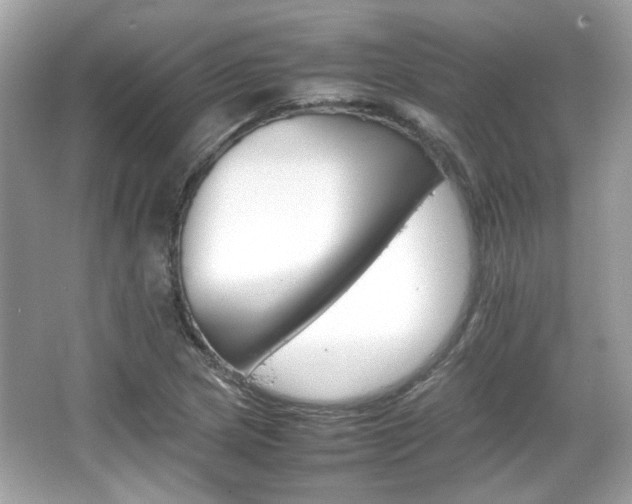 X0000066081217200603131129