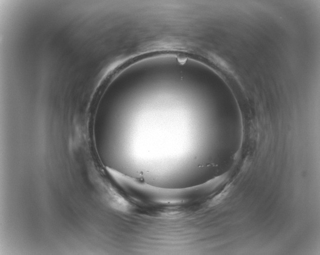 X0000066081222200603131129