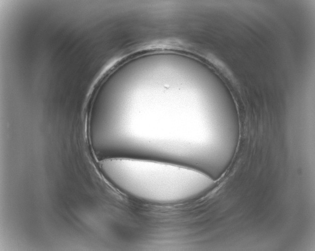 X0000066081224200603131129