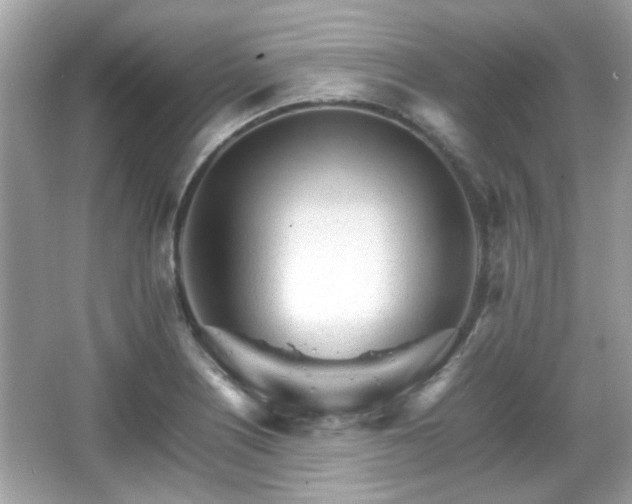 X0000066081226200603131129