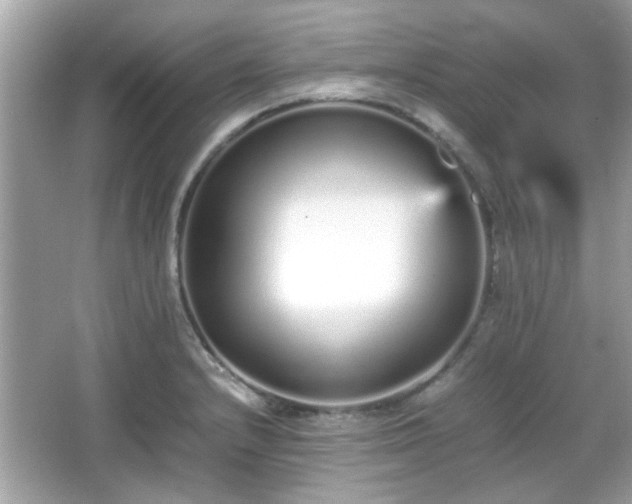 X0000066081232200603131129