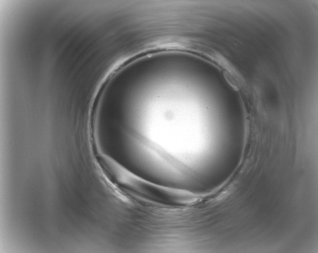 X0000066081240200603131129
