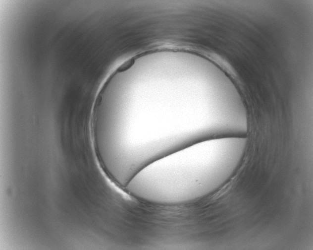 X0000066081247200603131130