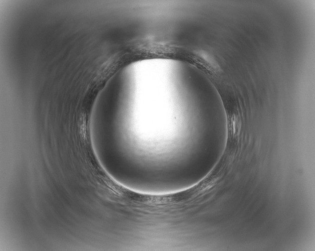 X0000066081251200603131129
