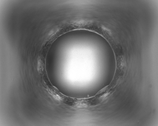 X0000066081253200603131129