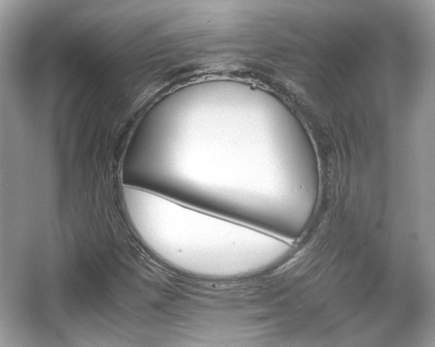 X0000066081257200603131129