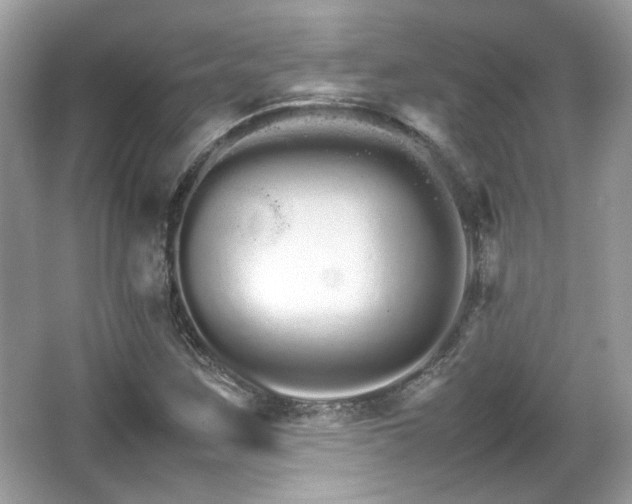 X0000066081259200603131129