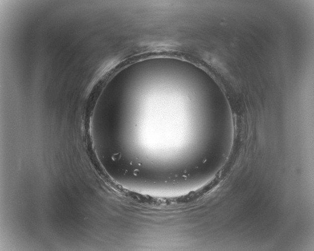 X0000066081261200603131129
