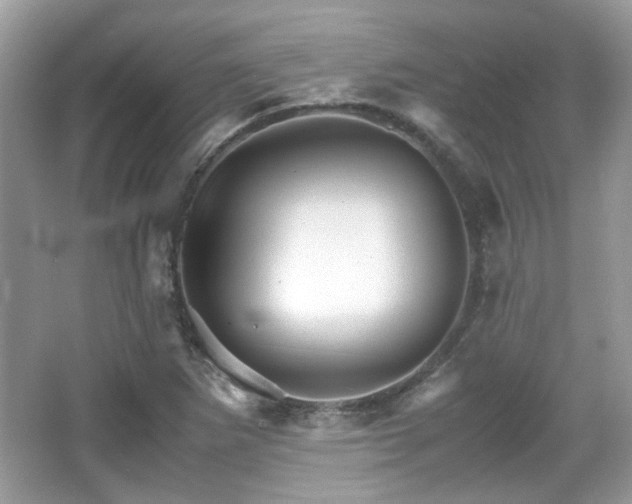 X0000066081265200603131128