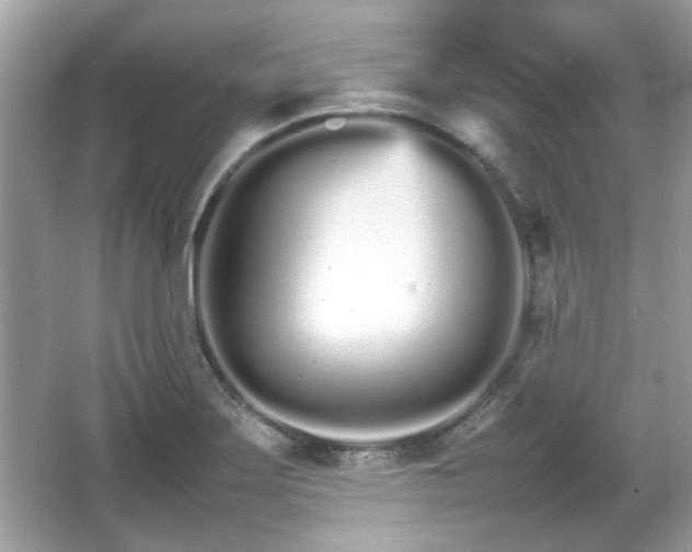 X0000066081275200603131128