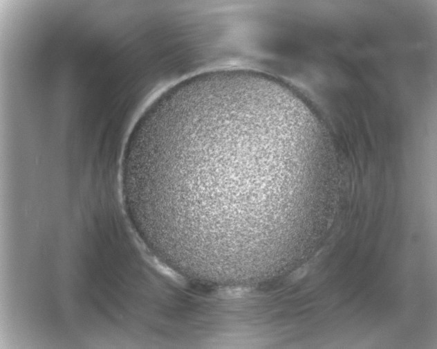 X0000066081278200603131128