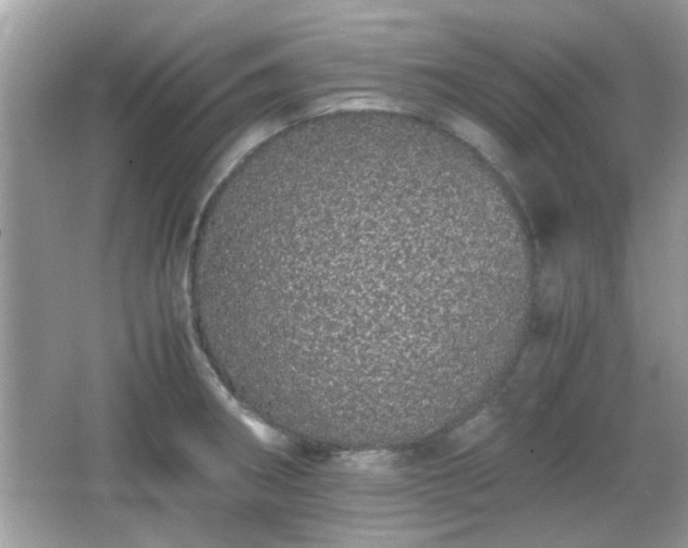 X0000066081282200603131128
